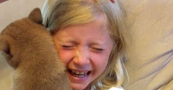 Η συγκινητική στιγμή που ένα 9χρονο κορίτσι παίρνει το σκυλί που πάντα ζητούσε