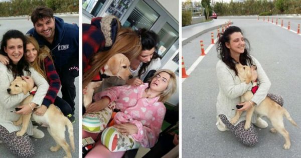 Στην Ασπασία, ο πρώτος σκύλος-βοηθός για άτομα με αναπηρία