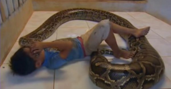 Το μωρό κοιμόταν κάθε μέρα με ένα τεράστιο φίδι. Αυτό που συνέβη 11 χρόνια μετά δεν το χωράει ο νους