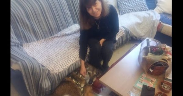 Άνοιξε το σπίτι και την καρδιά της στην 9χρονη σκυλίτσα που δεν ήθελε κανείς να υιοθετήσει