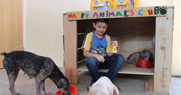 9χρονο αγόρι δημιούργησε ένα καταφύγιο ζώων στο γκαράζ του σπιτιού του!