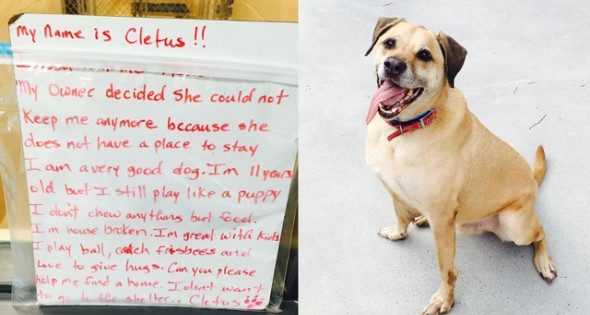 Το συγκινητικό μήνυμα άστεγης για να βρει ένα καλό σπίτι ο σκύλος της