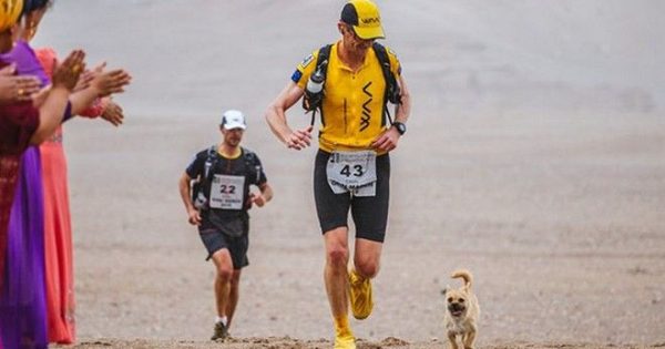 Αδέσποτος σκύλος τρέχει 250 χιλιόμετρα και τερματίζει μαζί με τον νέο του πατέρα!