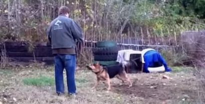 Συγκινητικό βίντεο: Η απελευθέρωση ενός σκύλου που ήταν αλυσοδεμένος για μια ζωή
