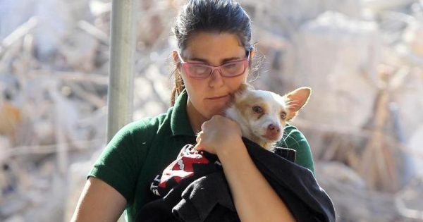 Η συγκλονιστική ιστορία της διάσωσης ενός σκύλου