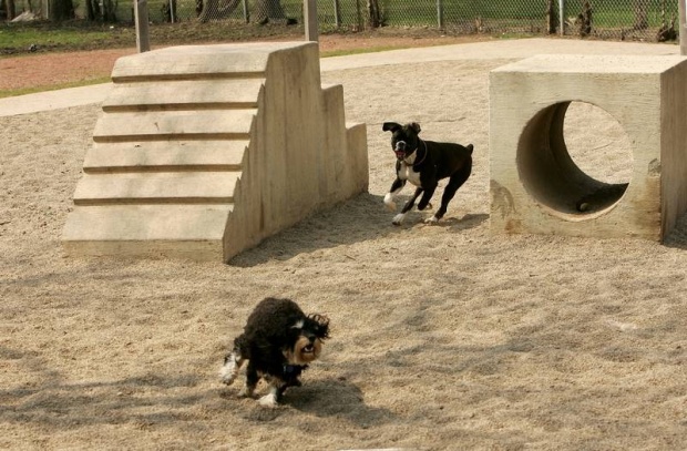 Σκύλος Πάρκο για σκύλους Ίλιον 