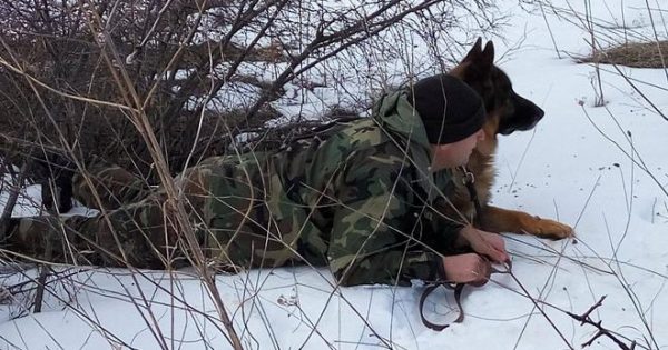 Τα σκυλιά-φύλακες της πατρίδας μας – Οι ασκήσεις τους στο χιόνι και το κρύο (εικόνες)