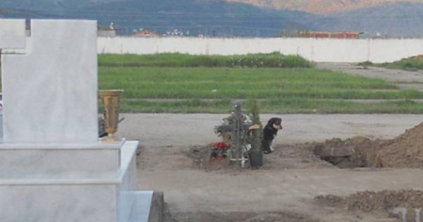 Ξάνθη – Σκύλος κοιμάται εδώ και μια βδομάδα πάνω στον τάφο του κηδεμόνα του