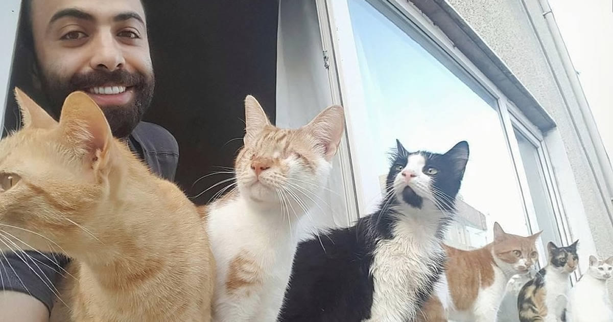 τραυματισμένες Η πανέμορφη ιστορία ενός πιανίστα που έσωσε 9 αδέσποτες τραυματισμένες γάτες κι εκείνες έγιναν το πιο πιστό κοινό του! γάτος γάτες Γάτα αδέσποτο αδέσποτες Αδέσποτα 