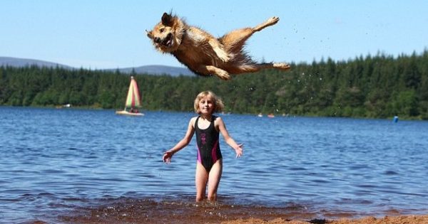 Ένας σκύλος για … τους ολυμπιακούς! Μπορεί και κάνει άλματα που φτάνουν σε ύψος τα δύο μέτρα!