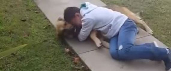 Η συγκινητική στιγμή κατά την οποία ένα αγόρι συναντάται με τον σκύλο του που είχε χαθεί για 8 μήνες