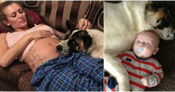 Οι φίλοι της της είπαν να διώξει το σκυλί όσο ήταν έγκυος. Εκείνη όμως δεν τους άκουσε και χάρη σ΄αυτό είναι σήμερα ζωντανή