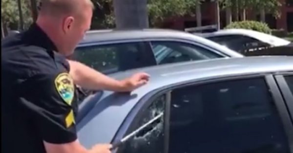 Video: H στιγμή που αστυνομικός σώζει σκύλο που θα πέθαινε από τη ζέστη σε αυτοκίνητο!