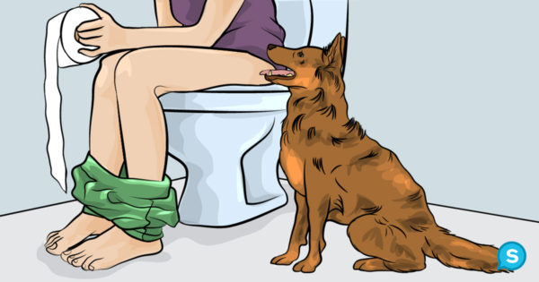 Εσείς το γνωρίζετε; Δείτε ΓΙΑΤΙ ο σκύλος σας, σας ακολουθεί όταν πηγαίνετε στο μπάνιο και θα πάθετε πλάκα!