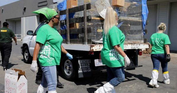 Βρέθηκαν 2000 ζώα σε άθλιες συνθήκες σε βιομηχανική αποθήκη στο Λος Άντζελες