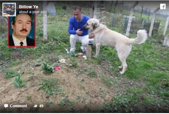 τάφος σκύλος επισκέπτεται τον τάφο του ιδιοκτήτη Σκύλος 