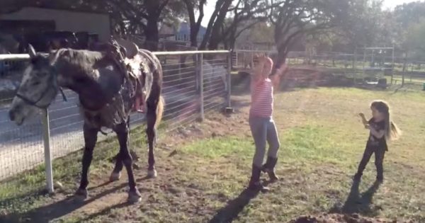 2 κοριτσάκια ξεκινάνε να χορεύουν μπροστά σε ένα άλογο, αλλά ΑΥΤΗ η κίνηση του αλόγου συγκλονίζει το διαδίκτυο!