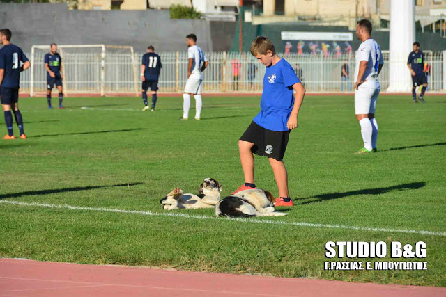 ποδοσφαιρόφιλοι σκύλοι ποδόσφαιρο 