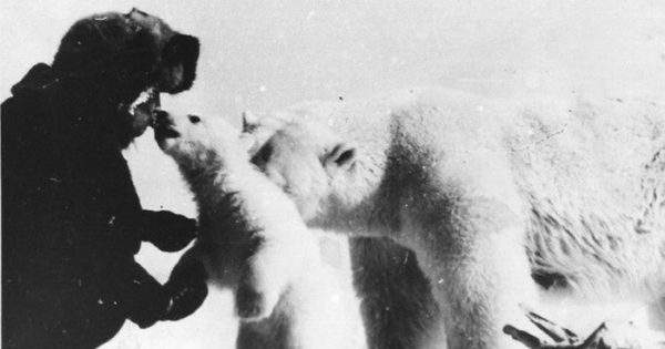 Ο άνδρας ταΐζει την πολική αρκούδα την ώρα που το μικρό της τον αγκαλιάζει με τρυφερότητα. Η συγκινητική ιστορία μιας φωτογραφίας