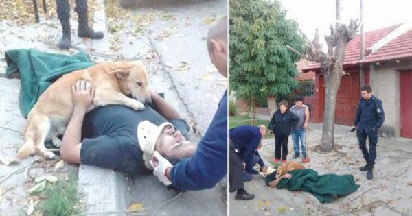 Σκύλος δεν αφήνει από την αγκαλιά του τον ιδιοκτήτη του που τραυματίστηκε από πτώση