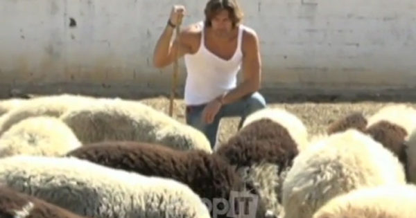 Ο «τσέλιγκας» Γιάννης Σπαλιάρας σκάβει, οργώνει και βόσκει πρόβατα