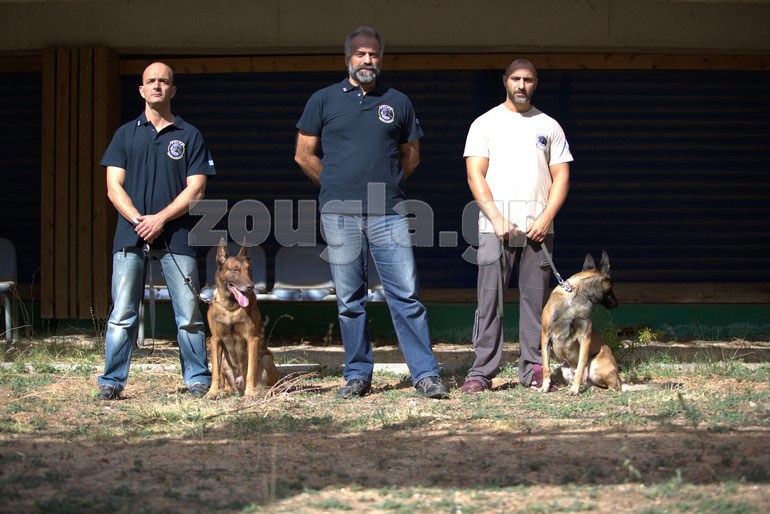 σκυλιά αστυνομίας Οι τετράποδοι αστυνομικοί που μυρίζονται το έγκλημα 