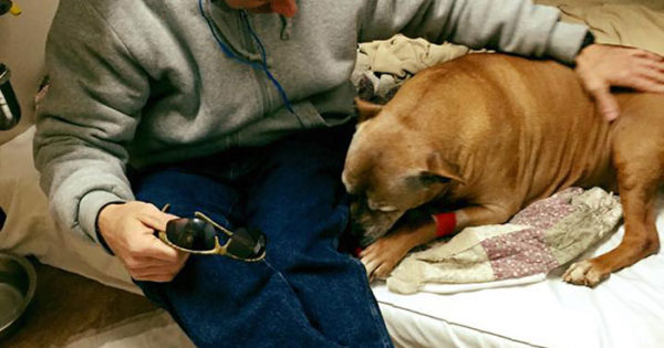 Θα δακρύσετε… Άστεγος άντρας αδυνατεί να πληρώσει για την νοσηλεία του ηλικιωμένου του σκύλου