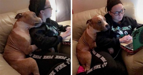 Υιοθετημένος σκύλος δεν μπορεί να σταματήσει να αγκαλιάζει την γυναίκα που τον έσωσε