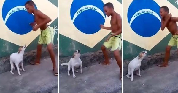 Ιδού πως ξεχωρίζει ένας σκύλος από τη Βραζιλία (βίντεο)