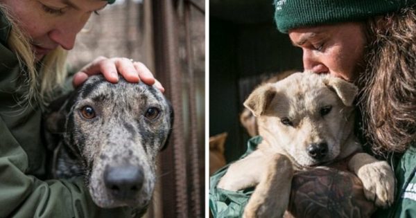 170 σκύλων απελευθερώθηκαν από διασώστες λίγο πριν σφαγιαστούν για να γίνουν σούπα στη Ν. Κορέα