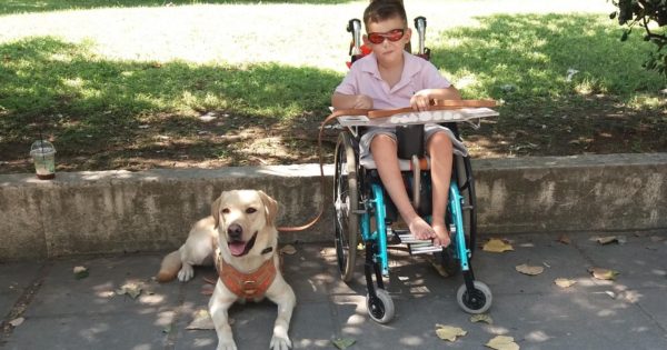 Ο μικρός Γιώργος και ο κολλητός του ο Μάικ, ο πρώτος σκύλος πολλαπλών βοηθειών στην Ελλάδα