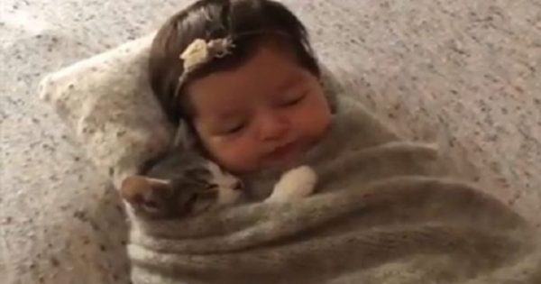 Νεογέννητο μωράκι κοιμάται μαζί με νεογέννητο γατάκι και γίνονται viral (video)