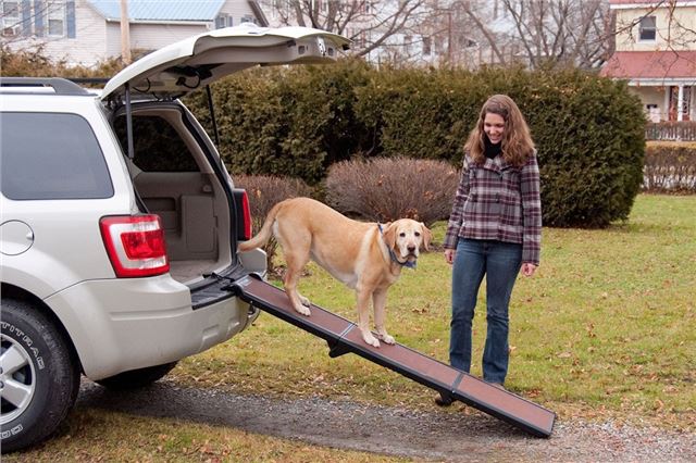 αξεσουάρ αυτοκινήτου για σκύλους 