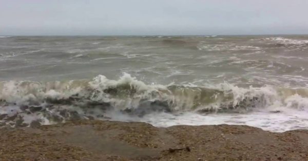 Βρετανία: Βουτιά… αυτοθυσίας στα κύματα για να σώσει τον σκύλο της (βίντεο)