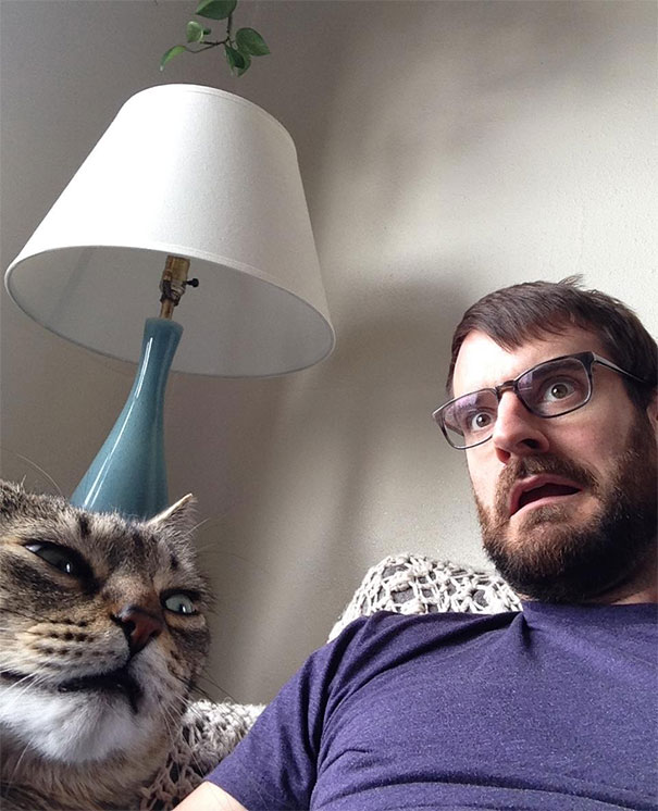 γάτες selfies 