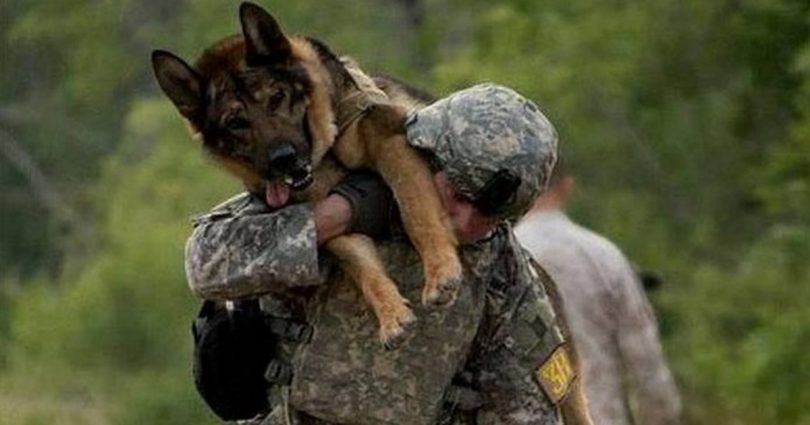 στρατιώτης Σκύλος 