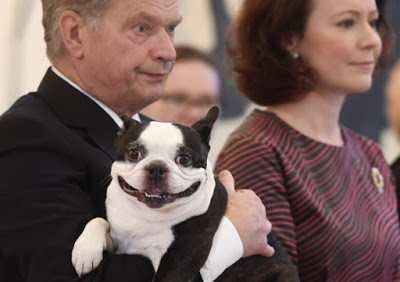Λένου, ο Πρώτος Σκύλος της Φινλανδίας κλέβει την παράσταση