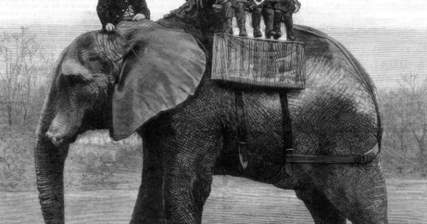 Η ζωή του αληθινού ελέφαντα Τζάμπο και ο τραγικός του θάνατος όταν συγκρούστηκε με τρένο. Μεγάλωσε σε ζωολογικούς κήπους και έγινε το διασημότερο ζώο του 19ου αιώνα