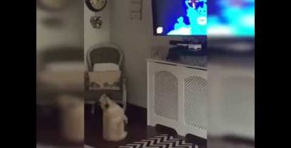 Ένας σκύλος χορεύει μπροστά από την τηλεόραση