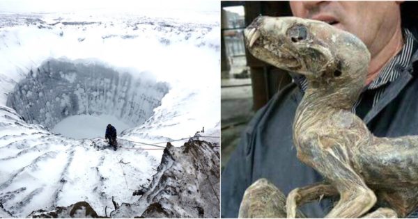 Οι πάγοι στη Σιβηρία λιώνουν και αποκαλύπτονται απόκοσμα πλάσματα