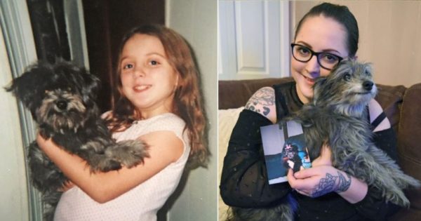 Υιοθέτησε 11χρονη σκυλίτσα επειδή της θύμιζε το κουτάβι που έχασε μικρή. Τελικά ήταν το ίδιο σκυλί