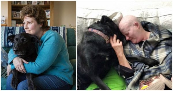 Γυναίκα διαγνώστηκε με καρκίνο μαζί με το κουτάβι της και πολεμούν μαζί την ασθένεια