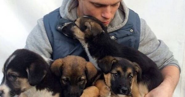 Ολυμπιονίκης σκιέρ κλείνει σφαγείο σκύλων στην Κορέα και σώζει 90 σκυλάκια από σίγουρο θάνατο