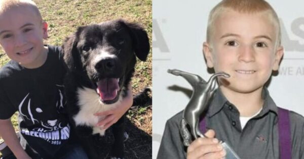 Παιδί Της Χρονιάς: 7 Χρονών Αγόρι Σώζει Πάνω Από 1.400 Σκυλιά Και Βραβεύεται Για Την Δράση Του!