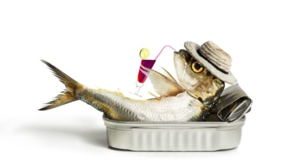 100 αστεία ονόματα για ψάρια: Ιδέες για αστεία και χαζούλικα ψάρια