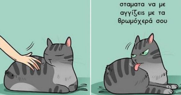 Ευτυχία: 17 Σκίτσα Που Δείχνουν Πως Είναι Η Ζωή Με Μια Γάτα