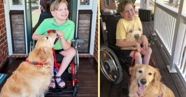 Έφηβος με διαταραχή στη σπονδυλική στήλη έχει μεγάλη καρδιά και σώζει σκυλιά