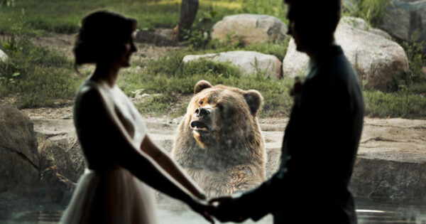 30 φορές που οι άνθρωποι έπιασαν τις αρκούδες να κάνουν αστεία αξιαγάπητα πράγματα