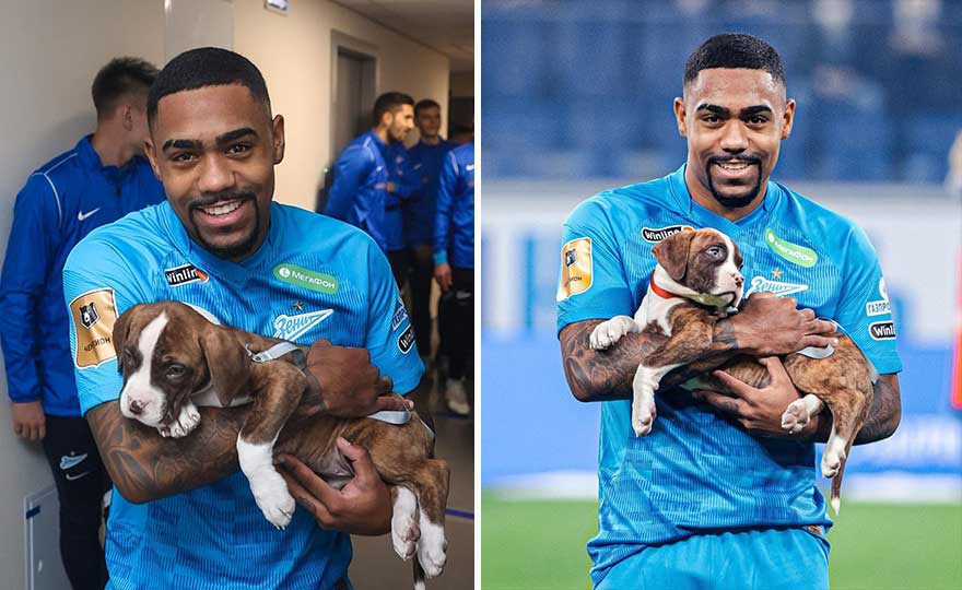 In-Russia-football-players-take-to-the-field-with-dogs-to-encourage-adoption-61b08315909e4-png-61b0c79c7b78a__880