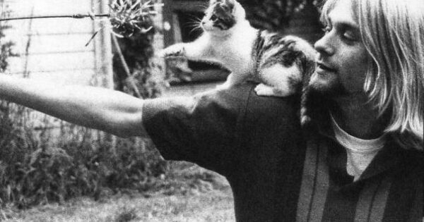 Δημοσιογράφος συλλέγει vintage φωτογραφίες διασήμων με γάτες κι άλλα (30 φωτογραφίες)
